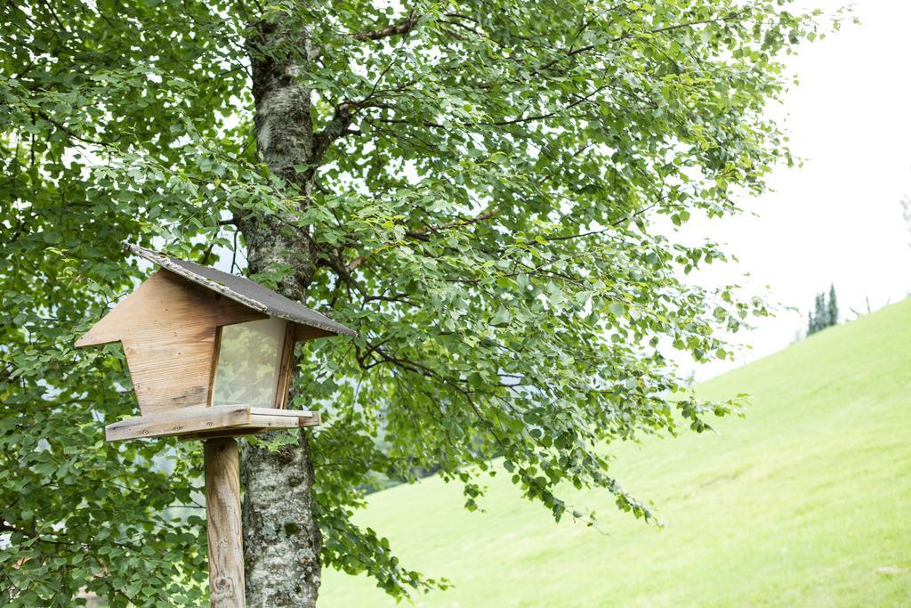Ferienhaus Sara Bad Kleinkirchheim Esterno foto