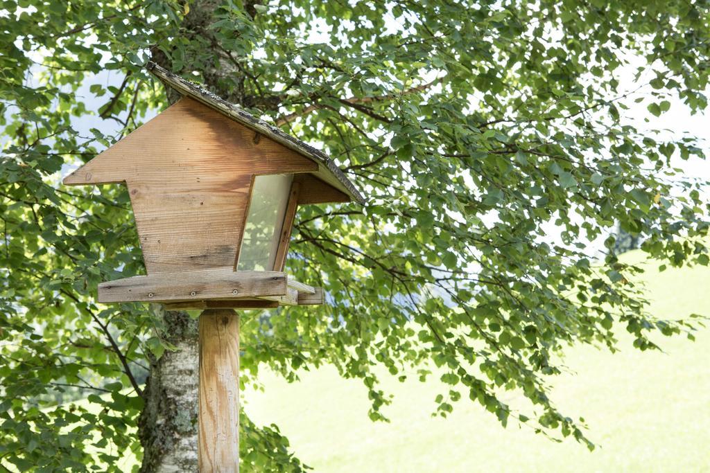 Ferienhaus Sara Bad Kleinkirchheim Esterno foto